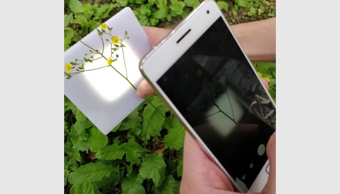 油菜、樹枝等的分枝角、水稻小麥等的莖葉角是作物表型基本參數(shù)，其人工測(cè)量獲取工作繁重。萬(wàn)深SC-K1型植物分支角自動(dòng)測(cè)量?jī)x利用機(jī)器視覺智能識(shí)別技術(shù)來(lái)自動(dòng)批量化獲得精準(zhǔn)的枝角測(cè)量結(jié)果，為育種選材提供依據(jù)。